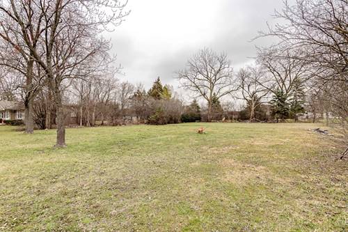 10159 Meadow, Des Plaines, IL 60016