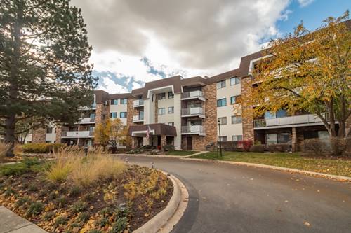3300 N Carriageway Unit 320, Arlington Heights, IL 60004