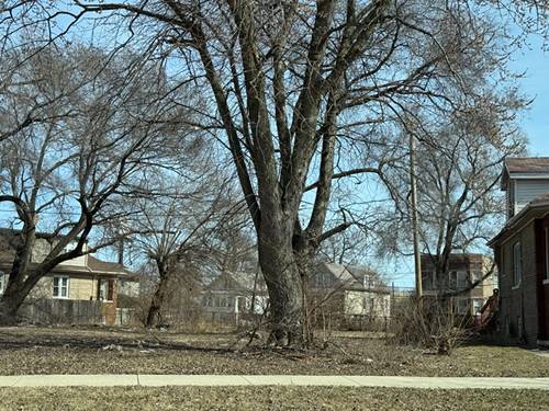 9969 S Winston, Chicago, IL 60643