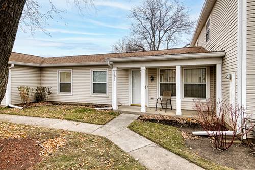 1191 E Barberry Unit E, Palatine, IL 60074