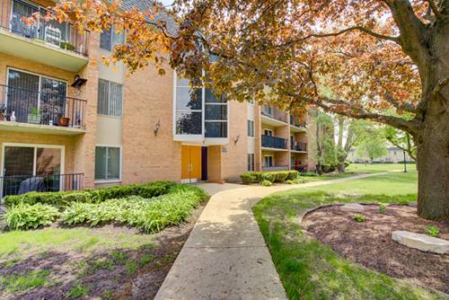1052 N Mill Unit 304, Naperville, IL 60563