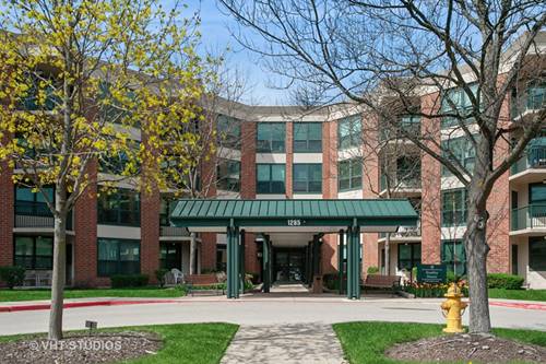 1285 Luther Unit 369B, Arlington Heights, IL 60004