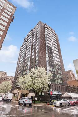 21 W Goethe Unit 18GH, Chicago, IL 60610
