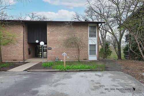 5504 E Lake Unit C, Lisle, IL 60532