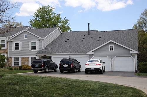 285 Ashland Unit 1, Buffalo Grove, IL 60089