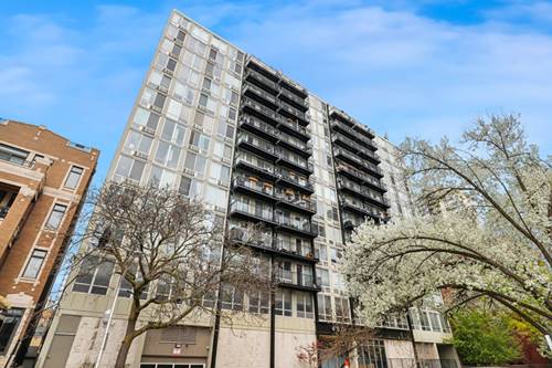 450 W Briar Unit 3E, Chicago, IL 60657