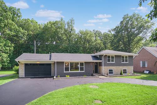 20852 Greenwood, Olympia Fields, IL 60461
