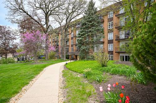 441 Park Unit 3I, Glen Ellyn, IL 60137