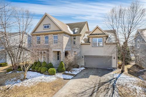 11253 Victoria, Huntley, IL 60142