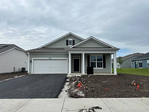 713 Alberta, Oswego, IL 60543