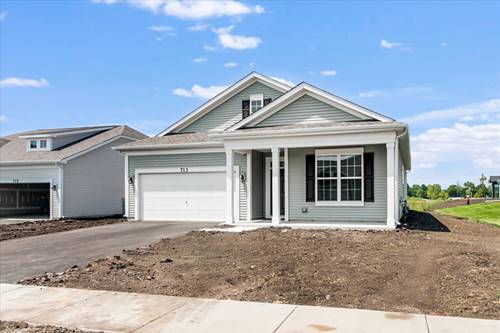 713 Alberta, Oswego, IL 60543
