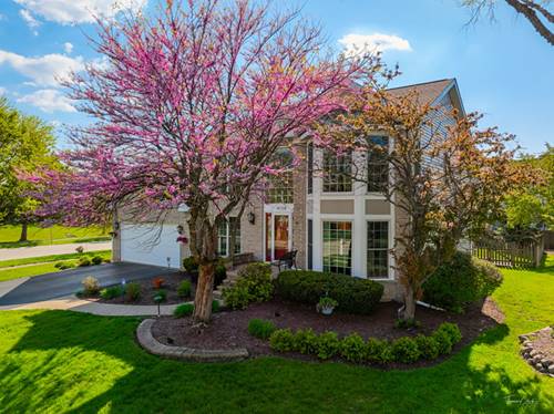 4558 Hatch, Lisle, IL 60532