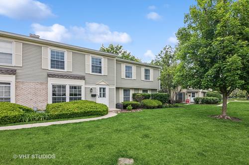 1679 Williamsburg Unit C, Wheaton, IL 60189