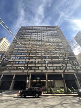 33 E Cedar Unit 12B, Chicago, IL 60611