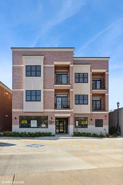 514 Hillgrove Unit 303, Western Springs, IL 60558