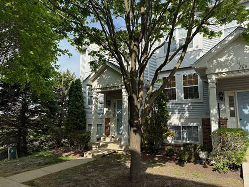 266 Holiday, Hainesville, IL 60073