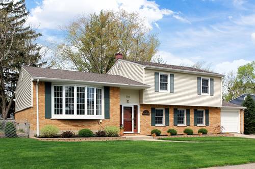 304 N Norman, Palatine, IL 60074