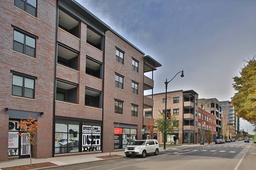 909 W Montana Unit 306, Chicago, IL 60614