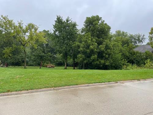 109 Creekside, Elwood, IL 60421