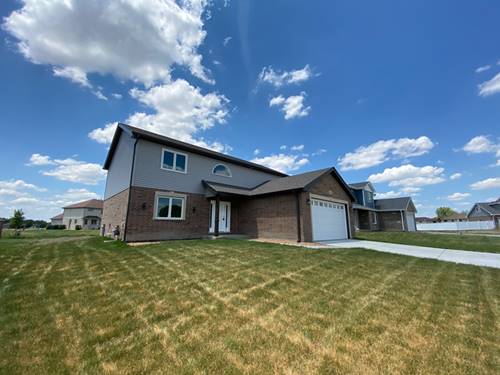 4996 Ribbon, Monee, IL 60449