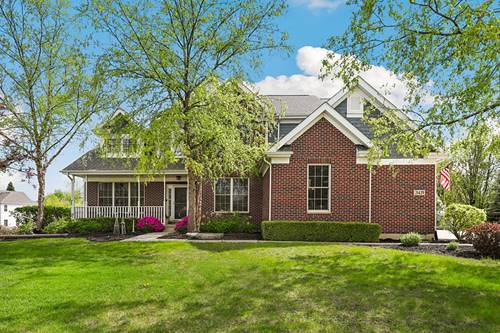 21429 English, Frankfort, IL 60423