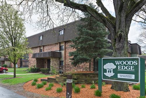 9199 North Unit E, Palos Hills, IL 60465