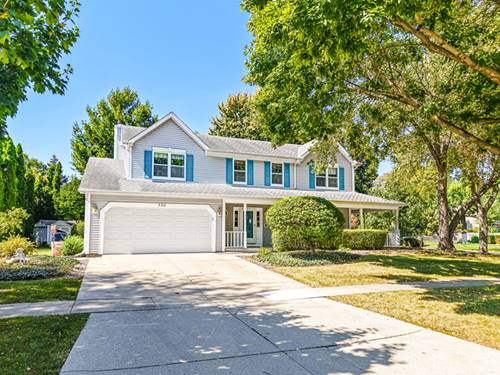 730 N Lyle, Elgin, IL 60123