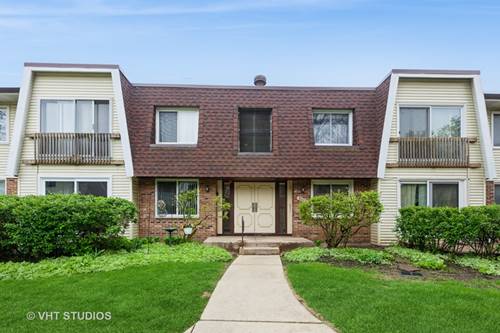 3026 Roberts Unit 4, Woodridge, IL 60517