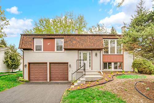 9 Shilling, Bolingbrook, IL 60440