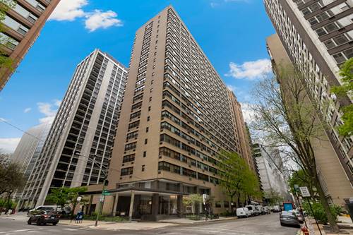 850 N Dewitt Unit 12A, Chicago, IL 60611