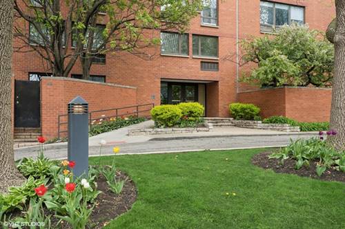 1169 S Plymouth Unit 103, Chicago, IL 60605