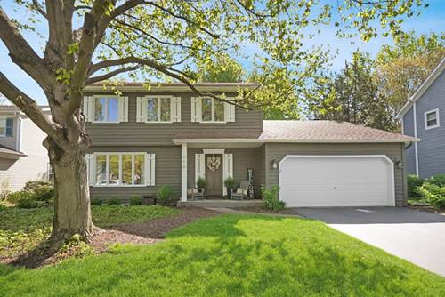 110 Green Valley, Naperville, IL 60540