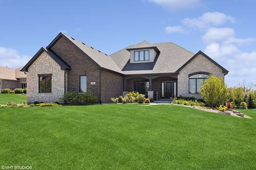 13923 W Wildwood, Homer Glen, IL 60491