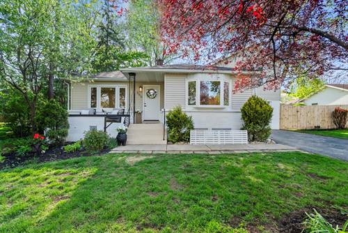 250 N Oak, Palatine, IL 60067
