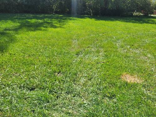 3743 W 140, Robbins, IL 60472