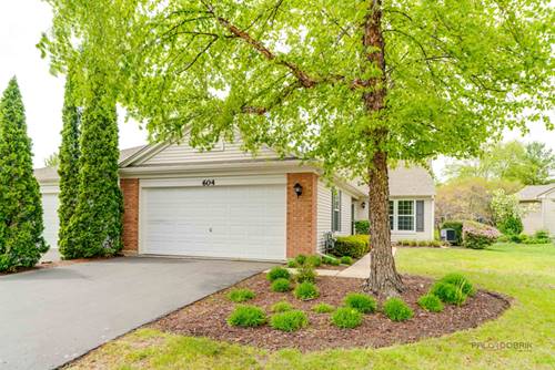 604 S Essington, Round Lake, IL 60073