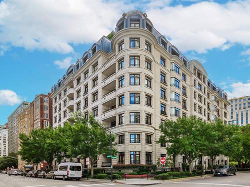 65 E Goethe Unit 4N, Chicago, IL 60610