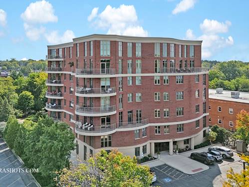 520 S Washington Unit 201, Naperville, IL 60540