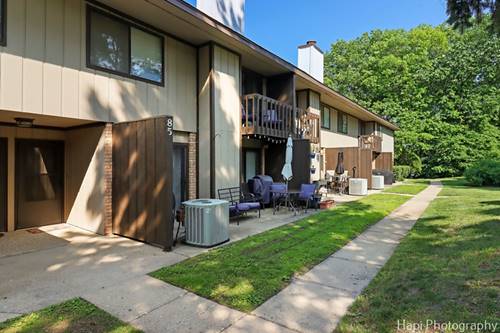 85 Woodhills Bay Unit 85, Fox Lake, IL 60020