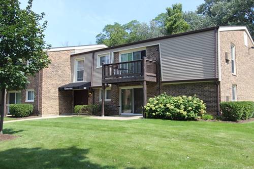 337 N Carter Unit 102, Palatine, IL 60067