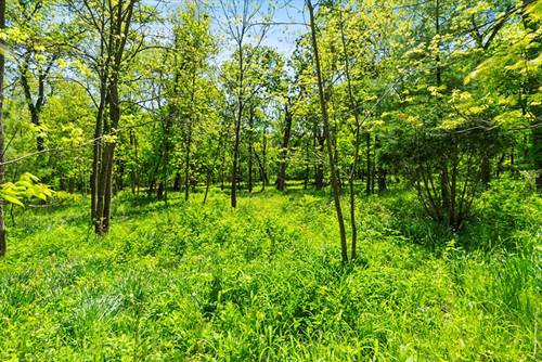 26359 N Hickory, Mundelein, IL 60060