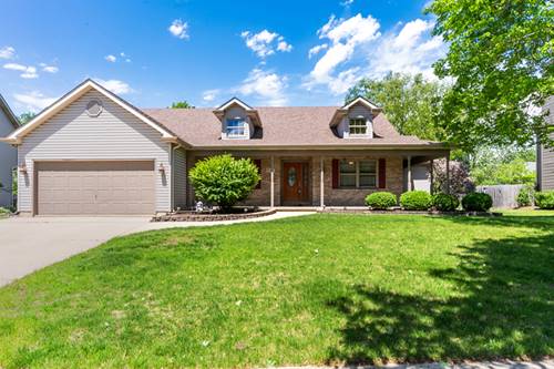 807 Meadow, North Aurora, IL 60542