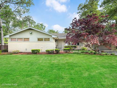 641 E Belmont, Addison, IL 60101