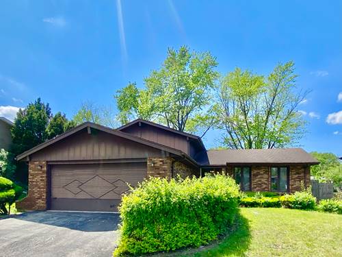 22962 Bruce, Richton Park, IL 60471