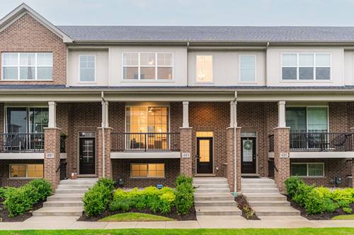 493 Woodmoor, Lombard, IL 60148