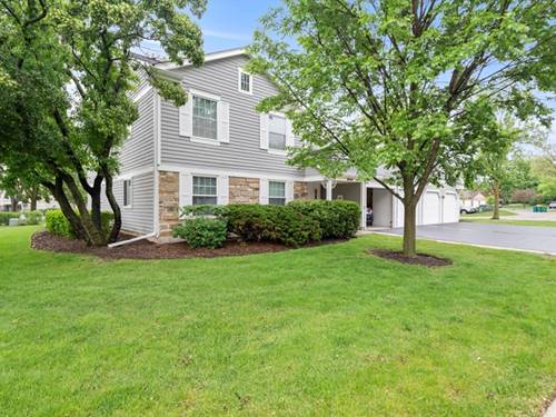 251 Appletree Unit Z1, Buffalo Grove, IL 60089