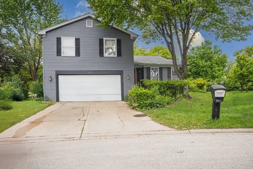 1005 Cooper, Buffalo Grove, IL 60089