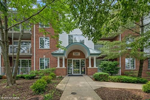 541 N Hough Unit 205, Barrington, IL 60010