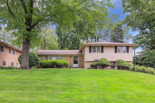 1131 Blanchard, Downers Grove, IL 60516