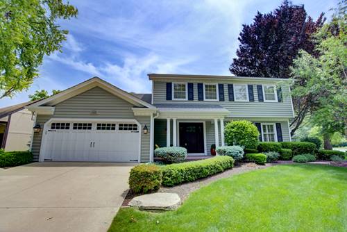 1056 Whirlaway, Naperville, IL 60540